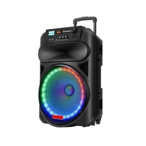 PHILIRAY - 12001 Portable Trolley Speaker