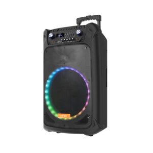 PHILIRAY - 15001 Portable Trolley Speaker